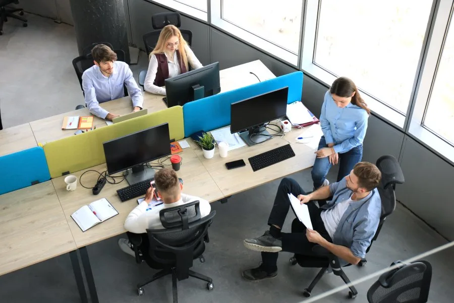IT and Software Development teams