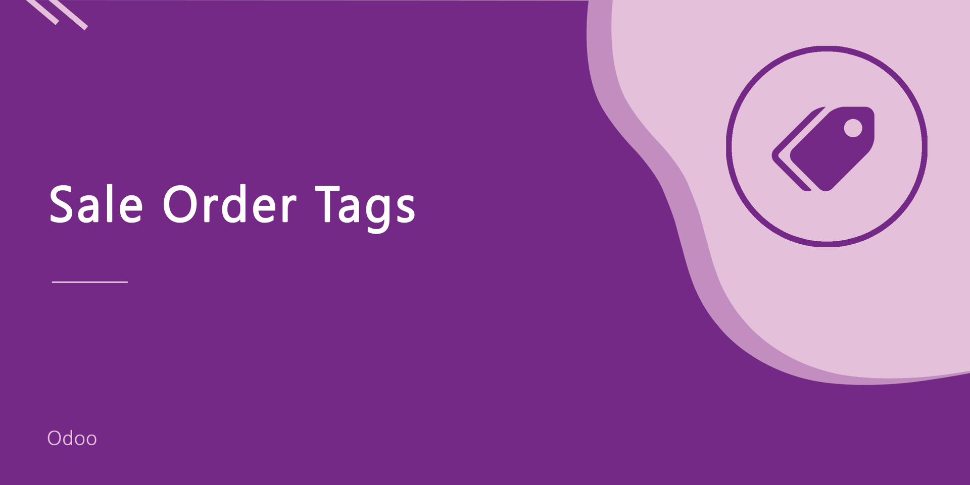 Sale Order/Quotation Tags
