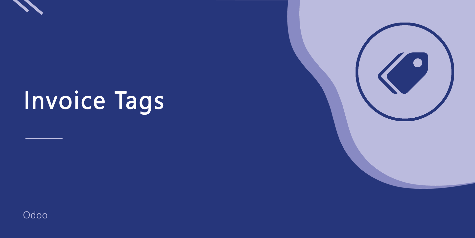Invoice/Bill Tags, Credit/Debit Note Tags

