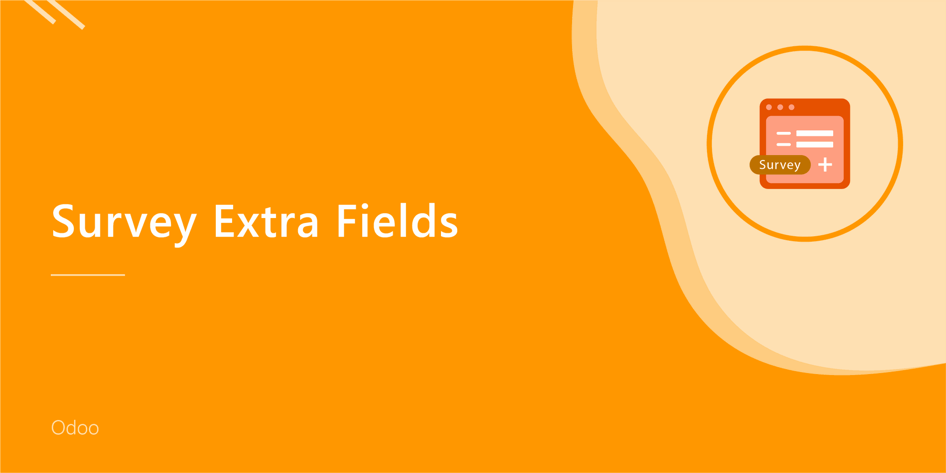 Survey - Extra Fields
