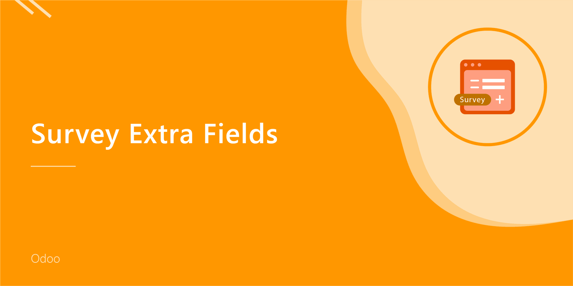 Survey - Extra Fields