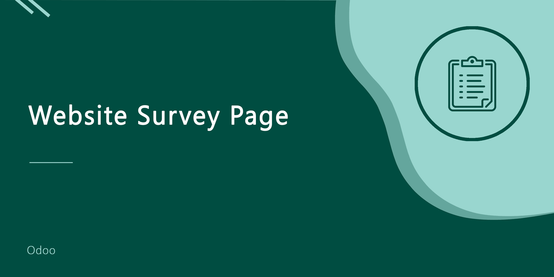 Website Survey Page