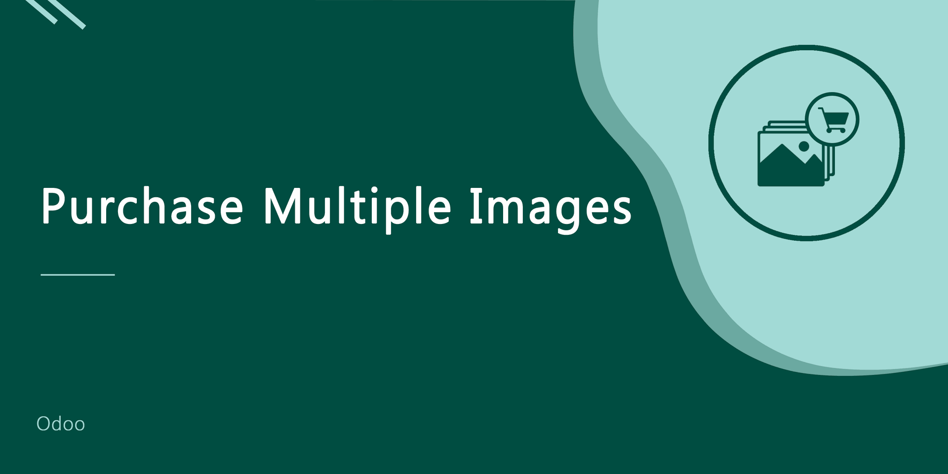 Purchase Multiple Images
