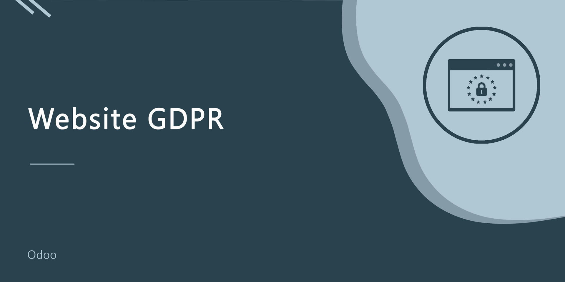 Website GDPR
