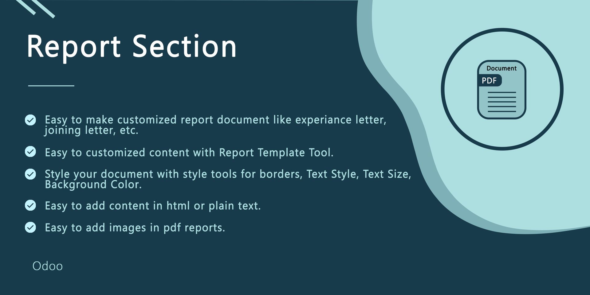 Report Section