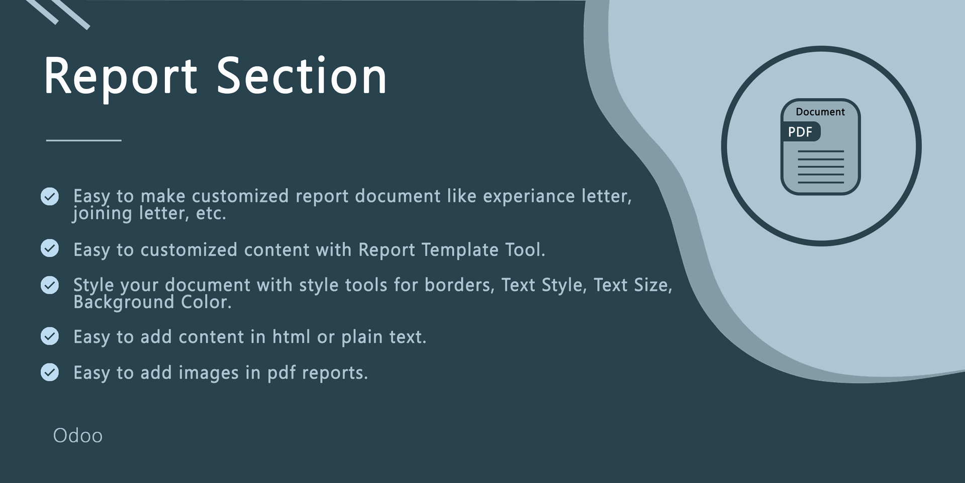 Reprot Section