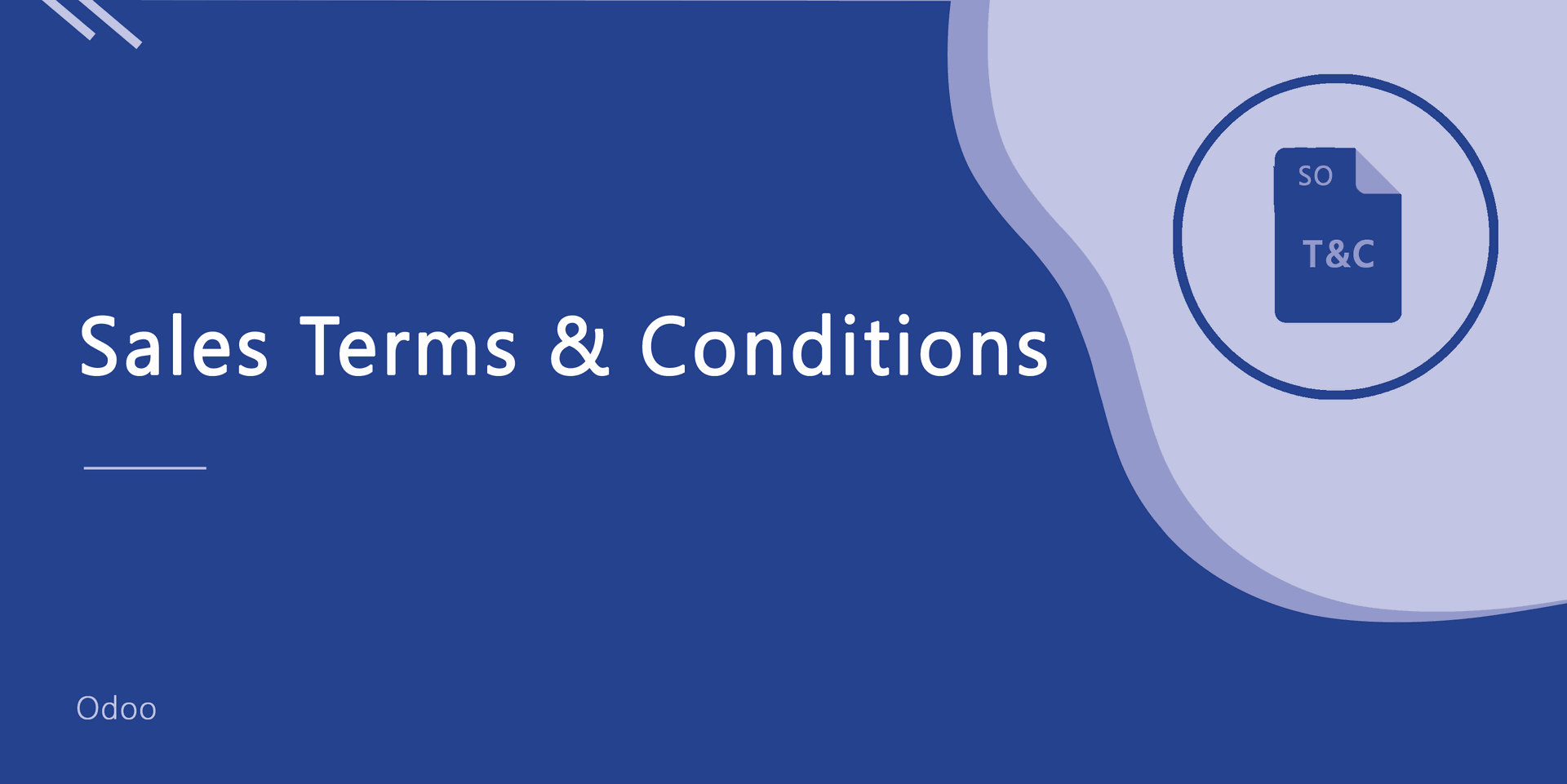 Sales Terms & Conditions
