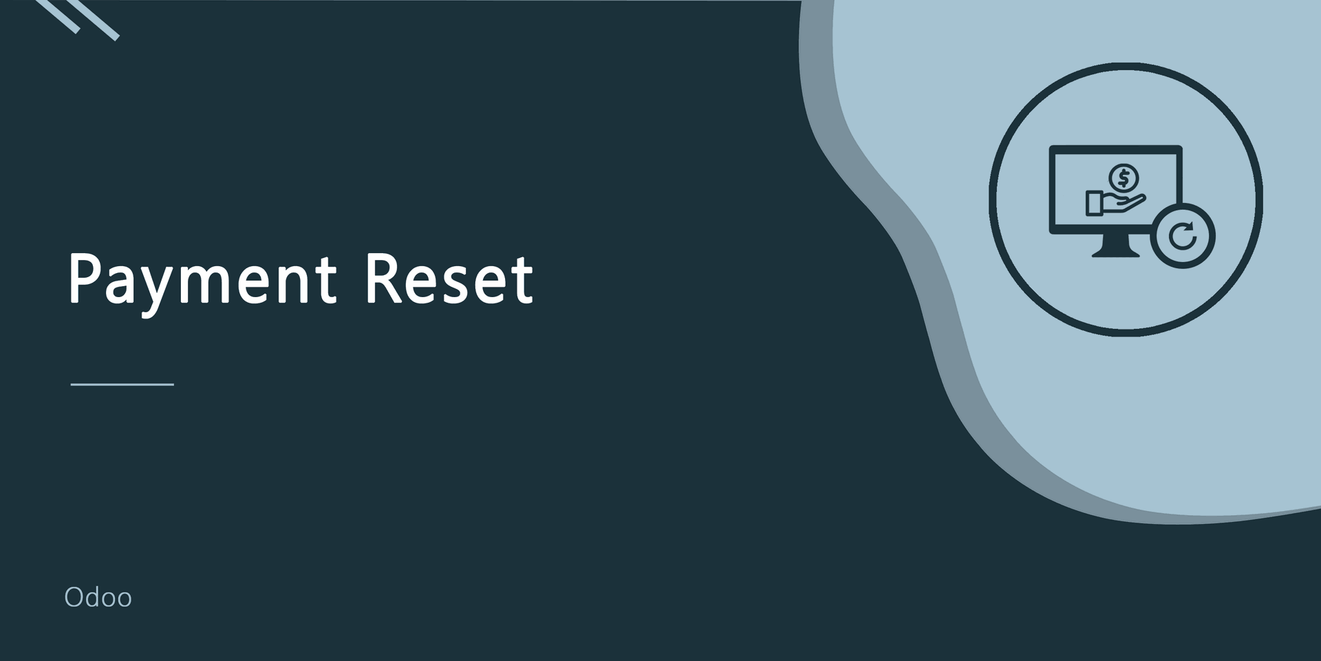 Payment Reset
