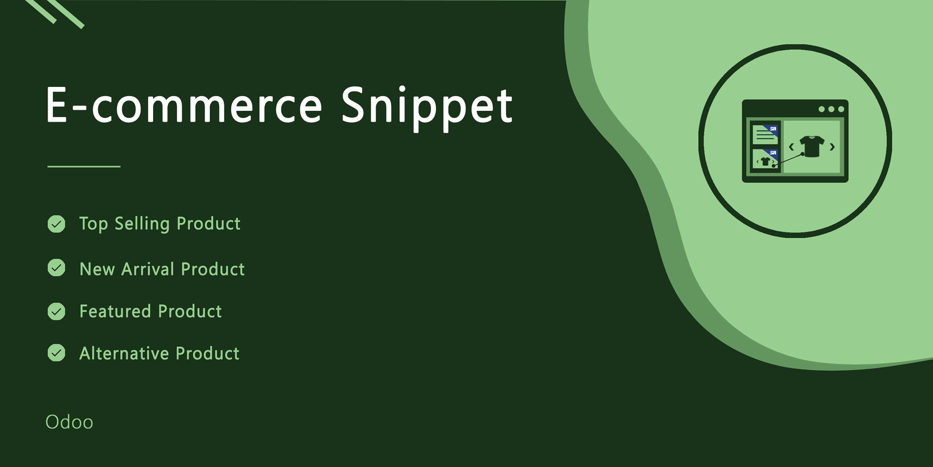 Ecommerce Snippet