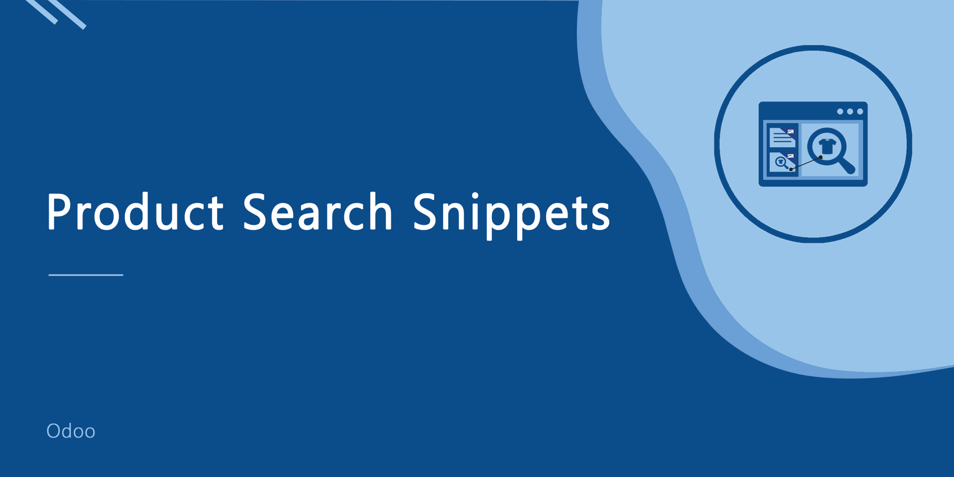 Product Search Snippet