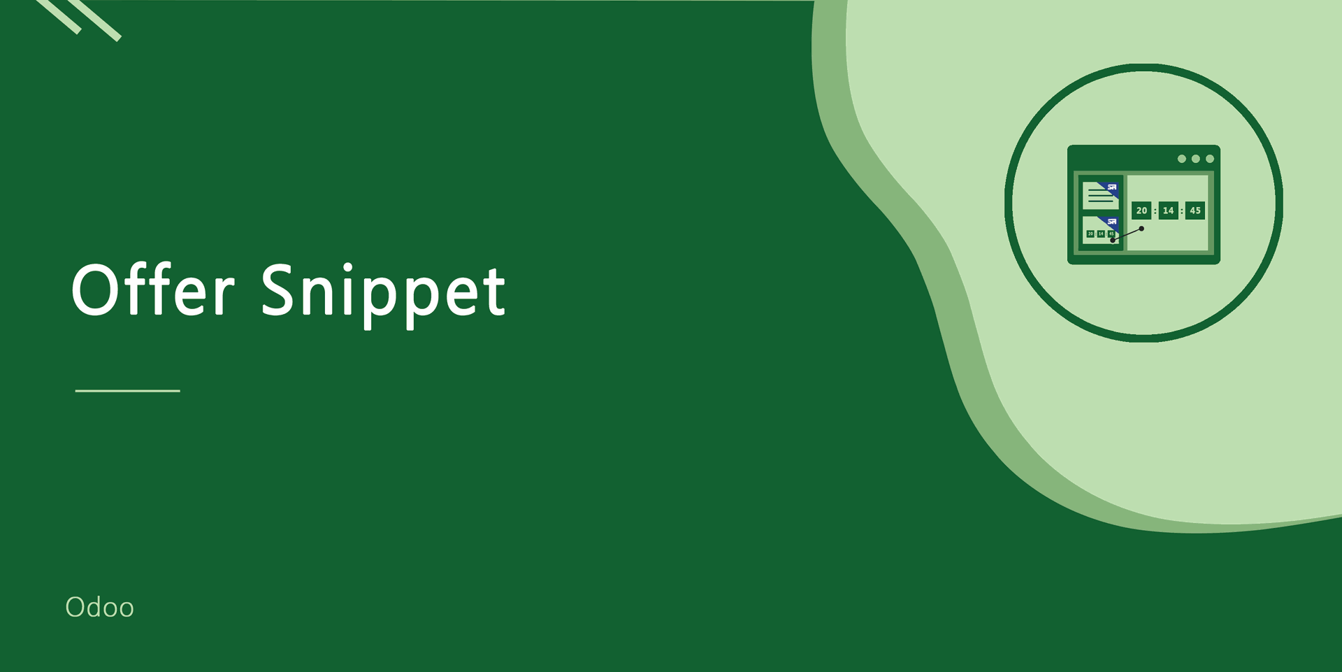 Offer Snippets