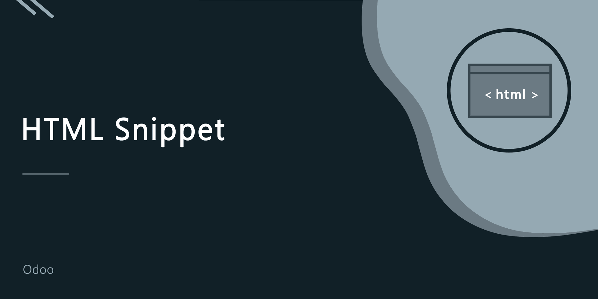 HTML Snippet