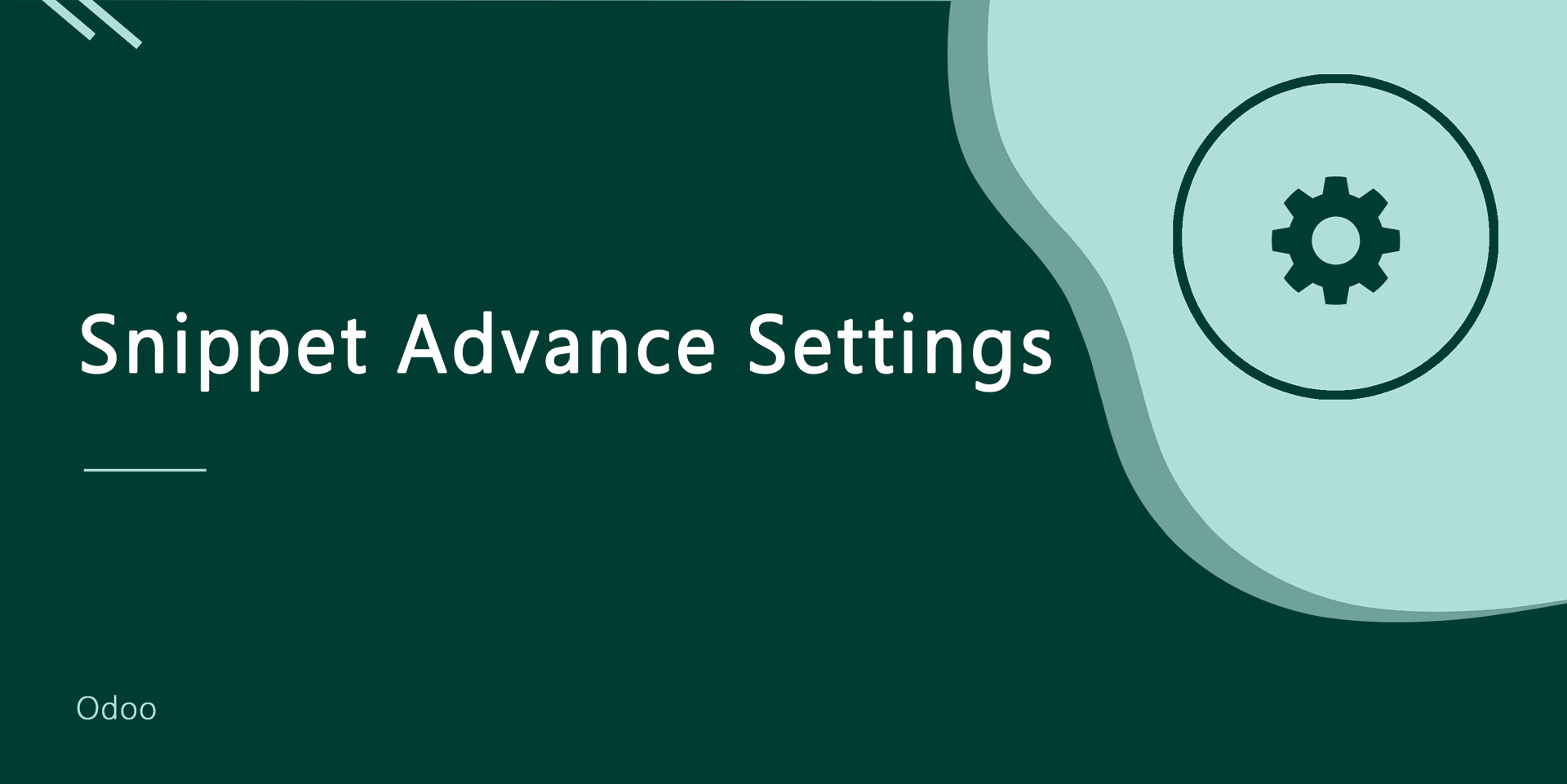 Snippet Advance Settings