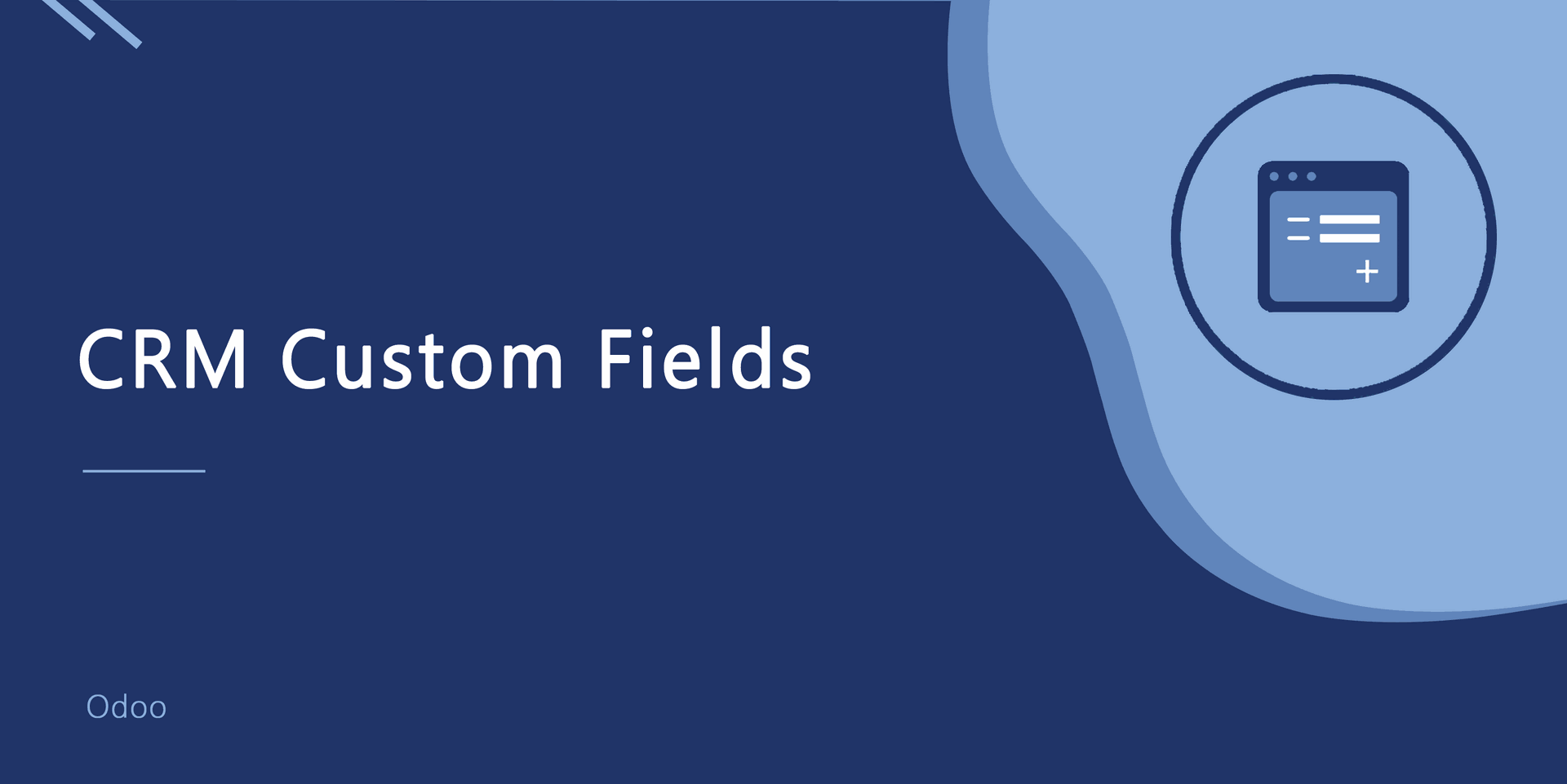 CRM Custom Fields