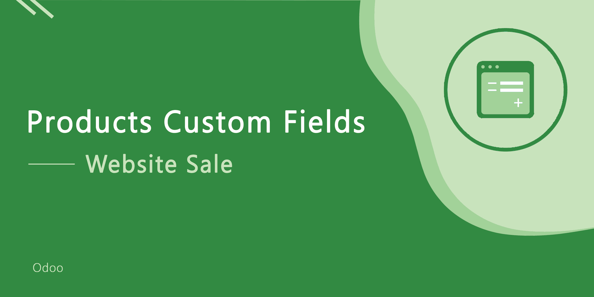 Products Custom Fields - Website Sale