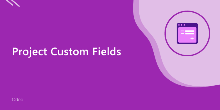 Project Custom Fields