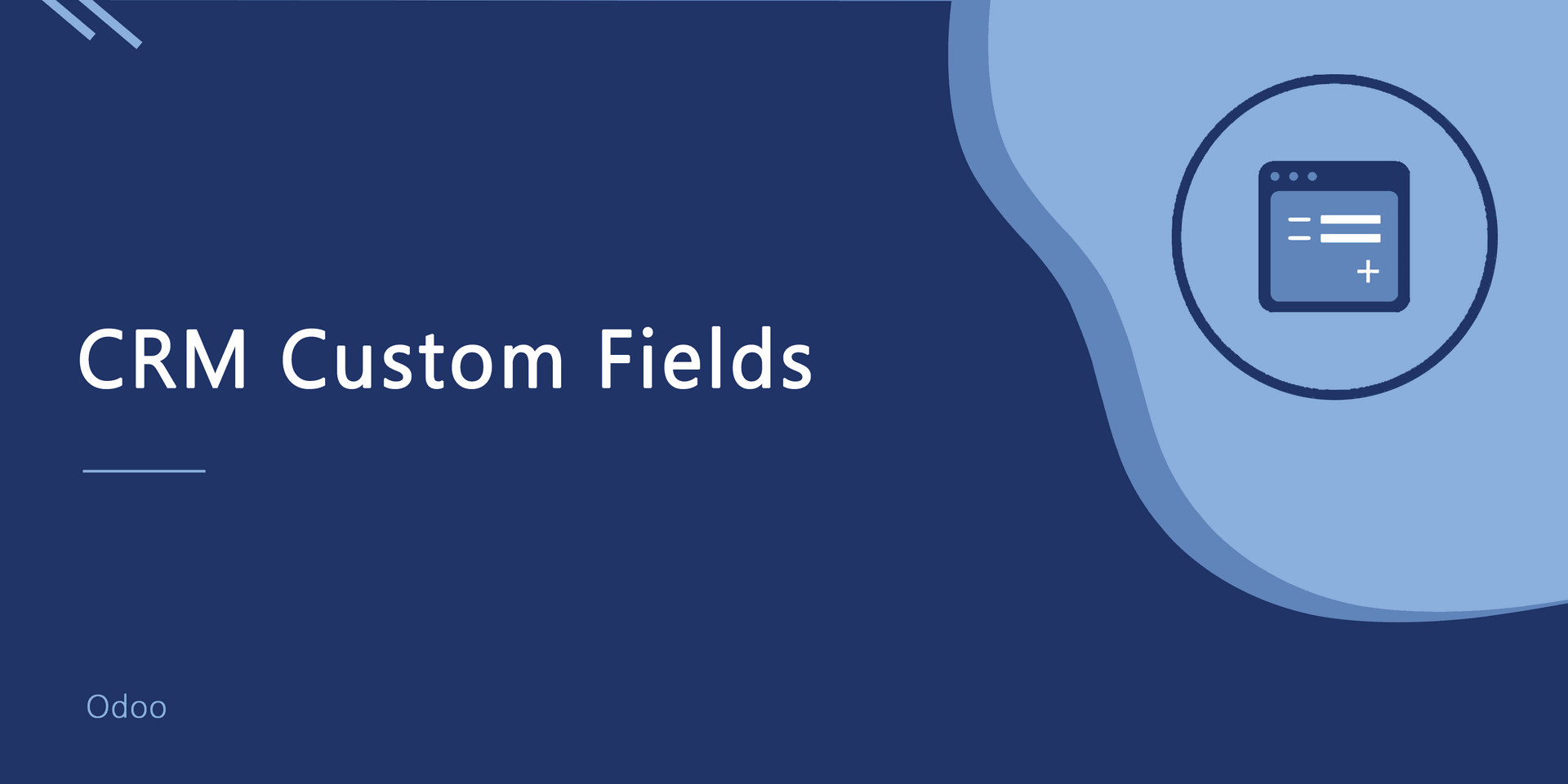 CRM Custom Fields
