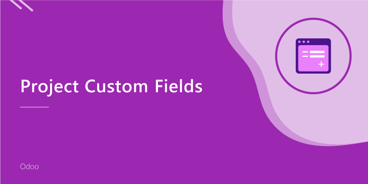 Project Custom Fields
