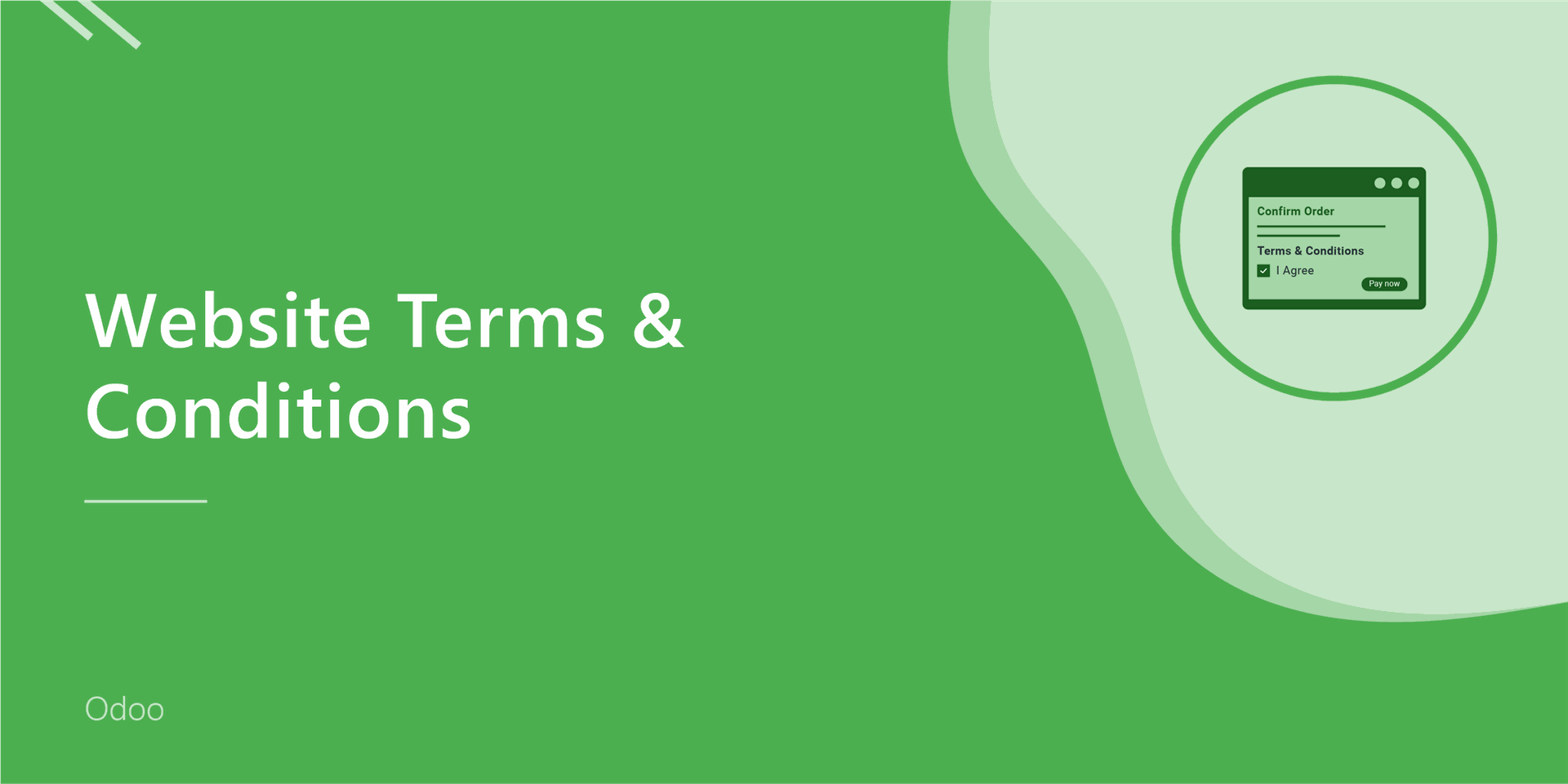 Website Terms & Conditions
