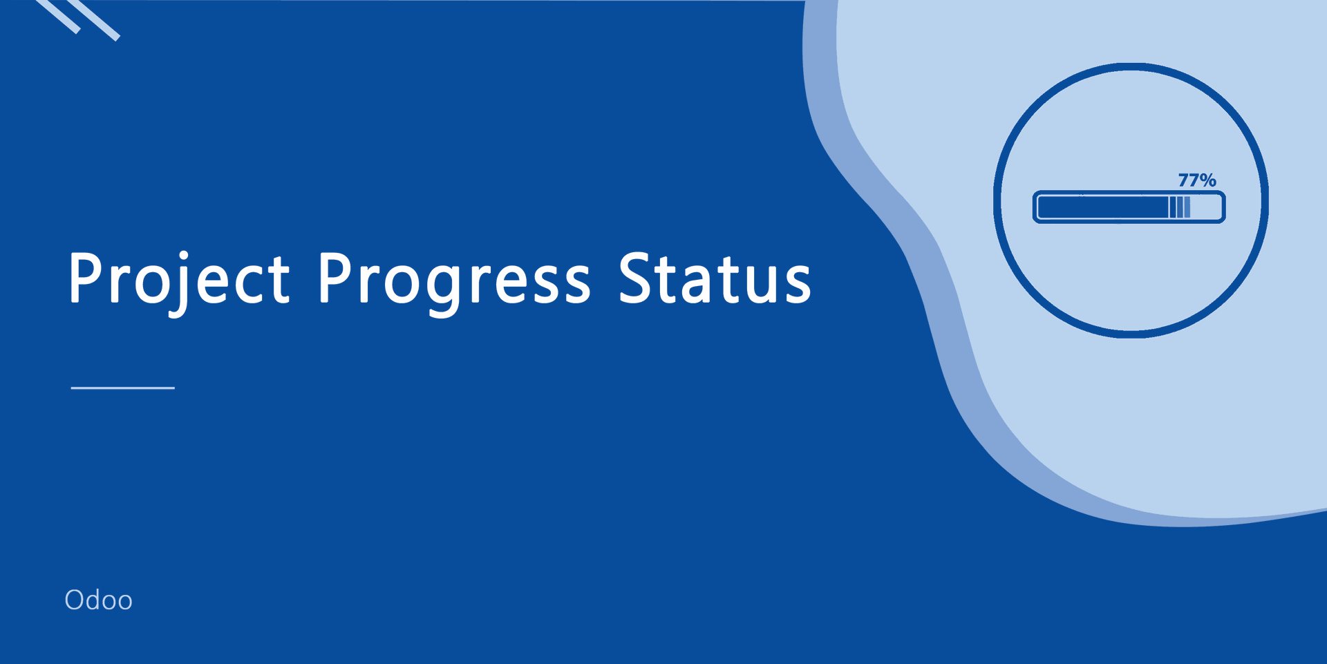 Project Progress Status
