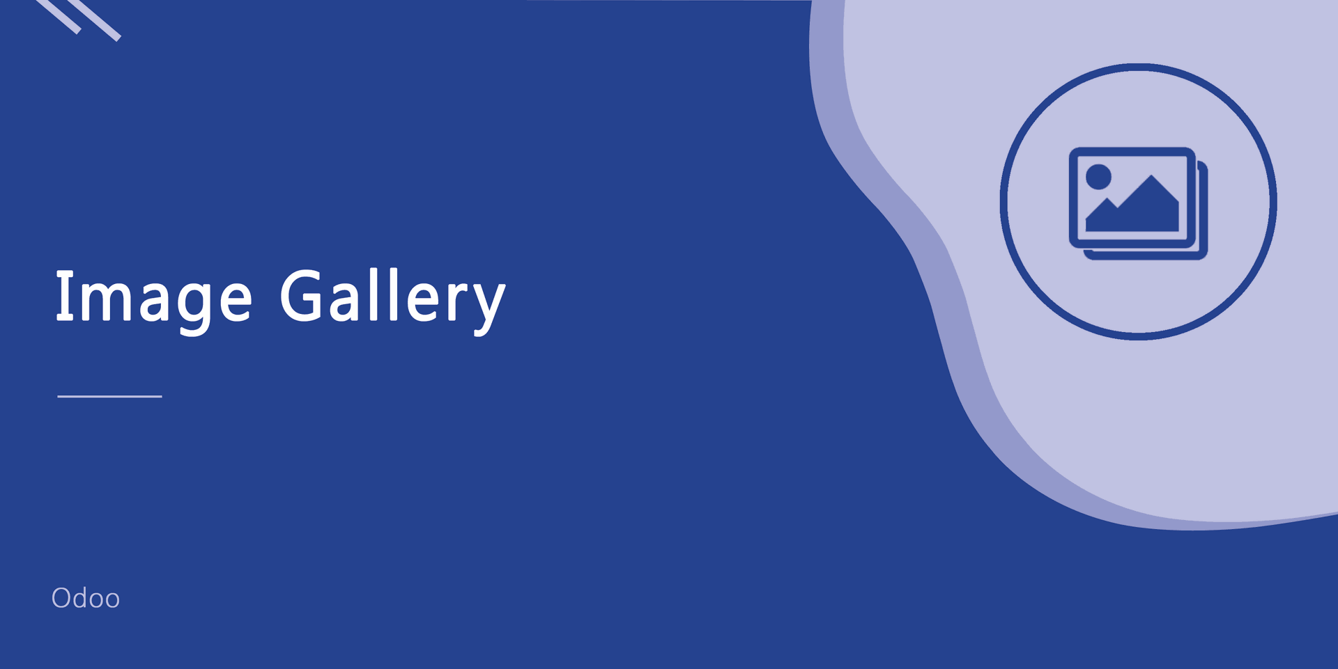 Image Gallary