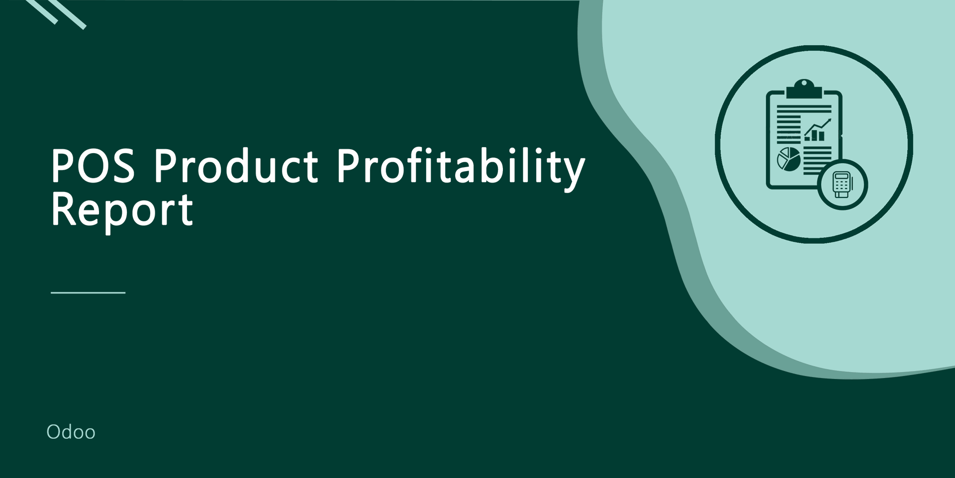 POS Product Profitability Report