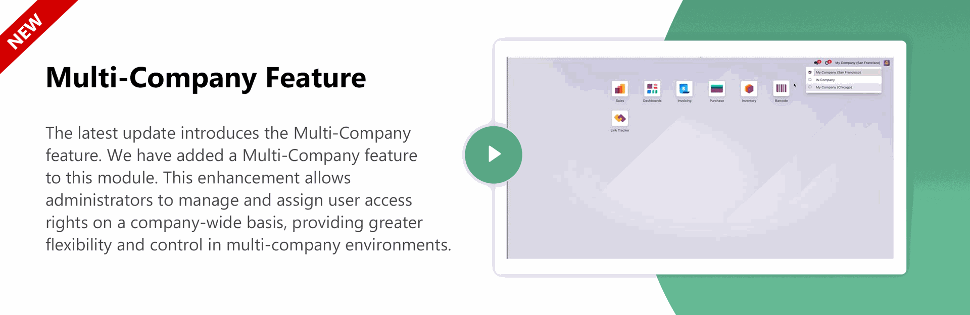 Multi-Company Feature