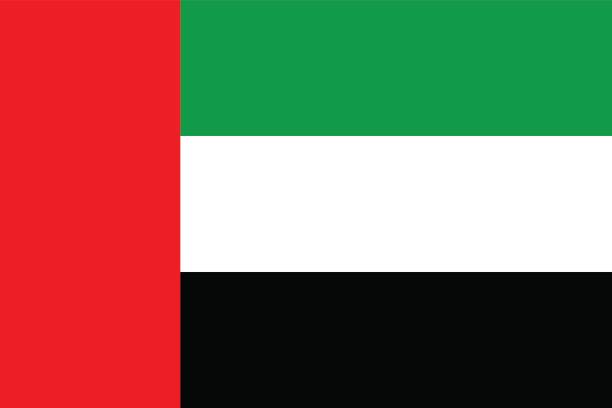 Dubai flag