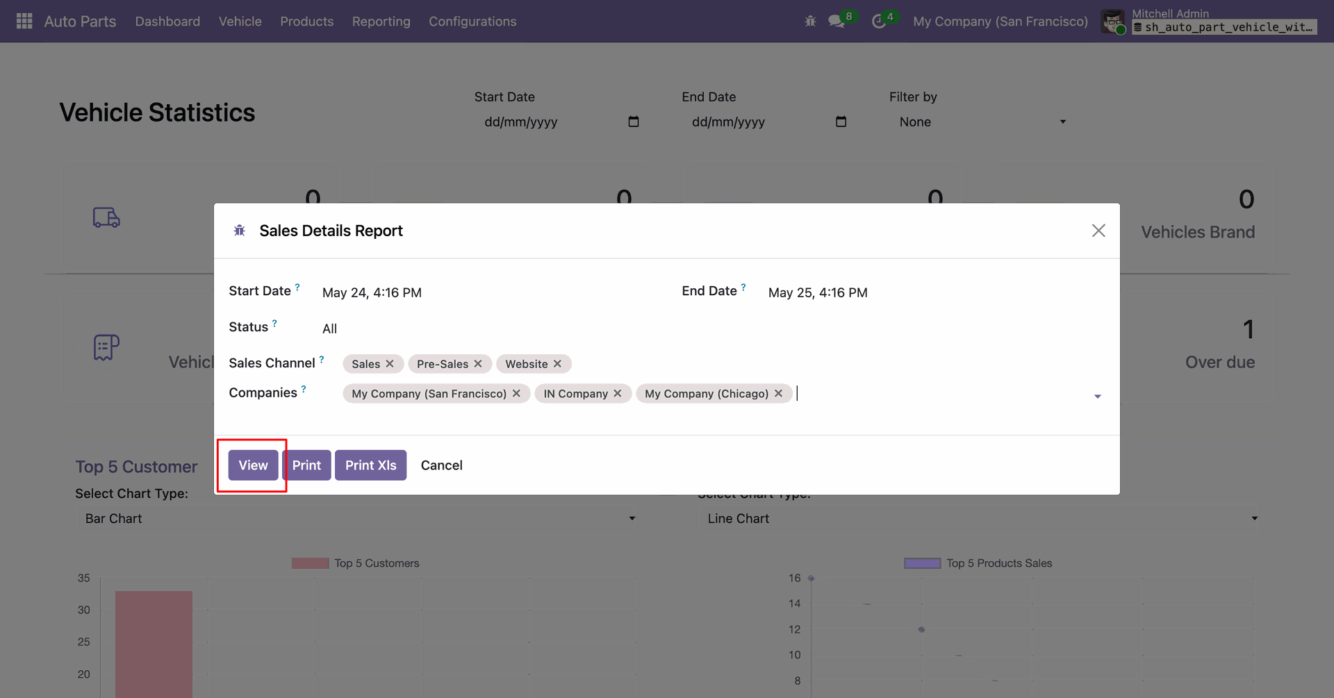 Sales details report window for viewing filtered sales information.