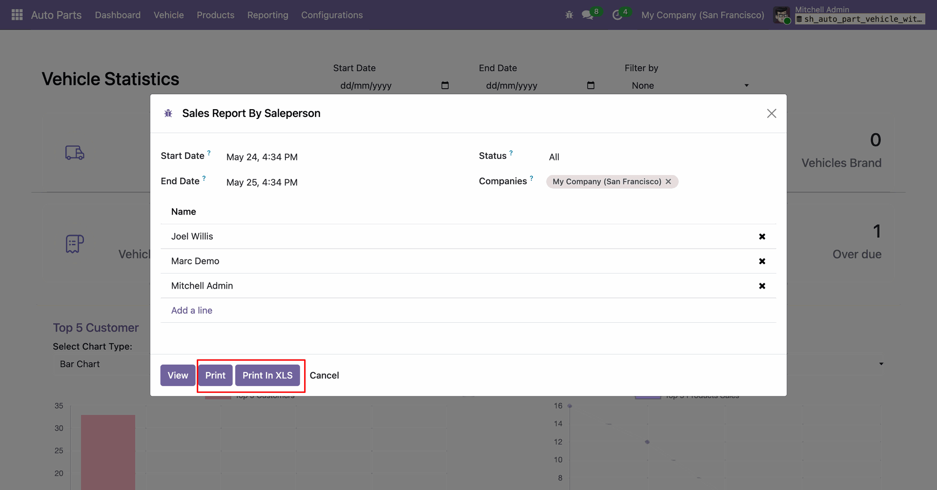 Salesperson report window with filtering and print options.