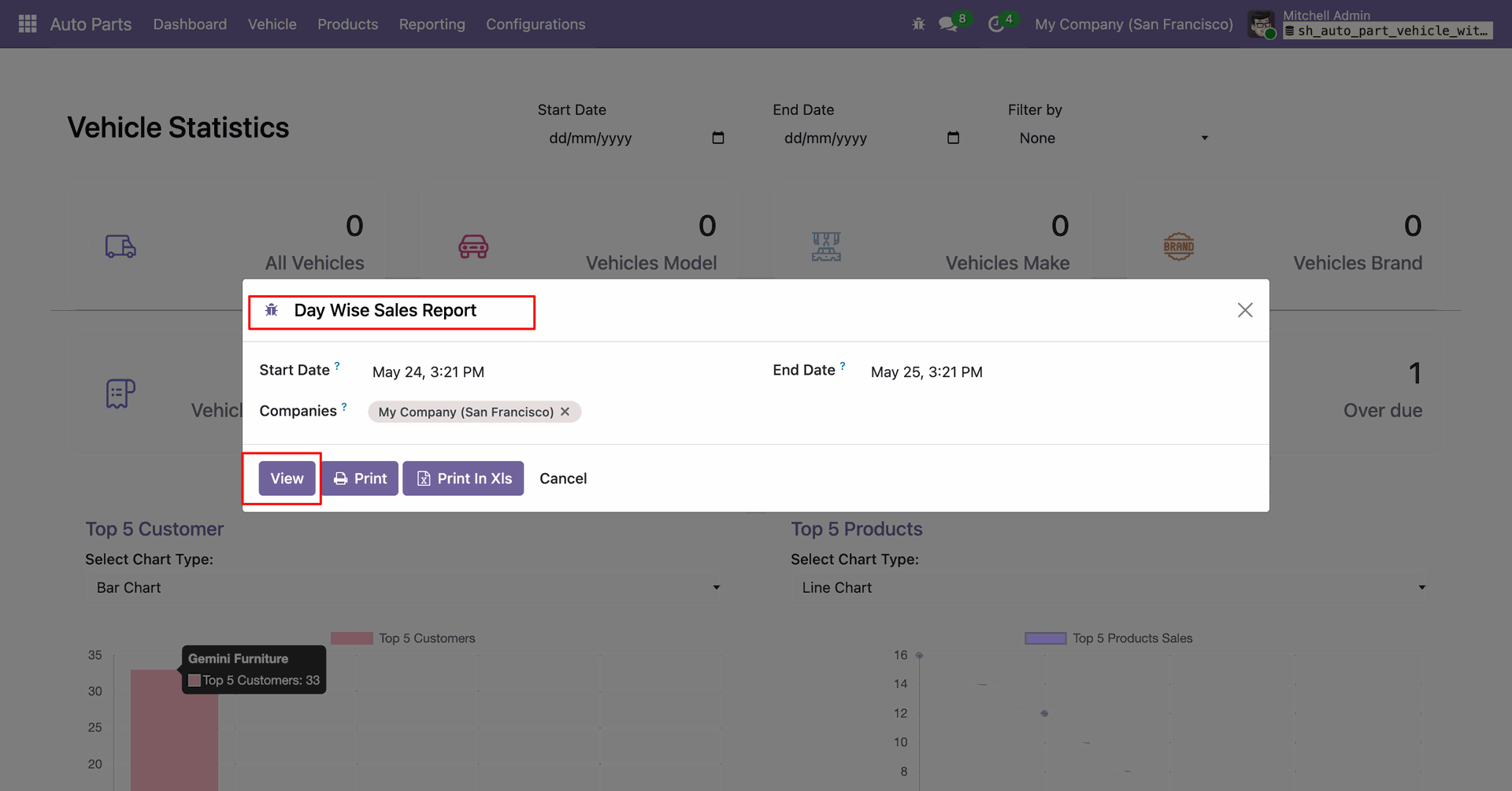 Daily sales report dialog for selecting report criteria and viewing the report.