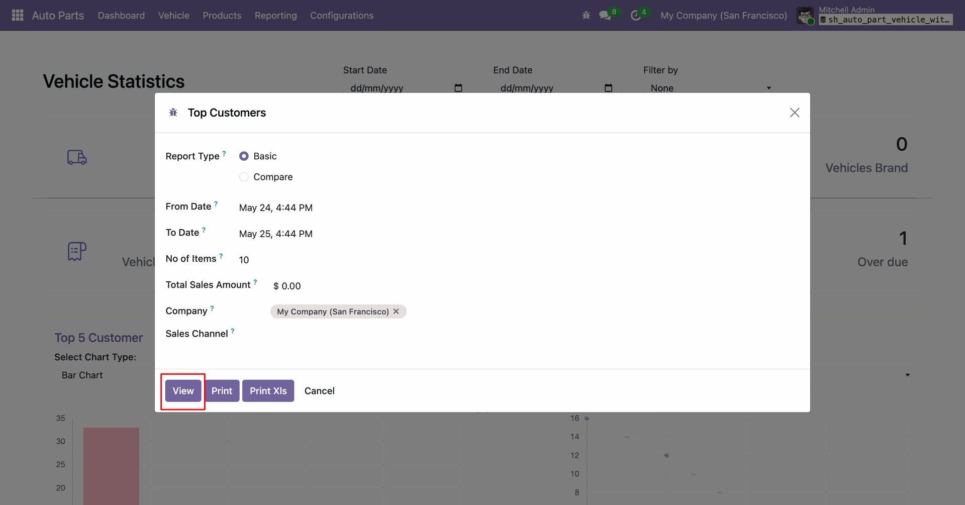 Top Customers report dialog with sales filters and report options.