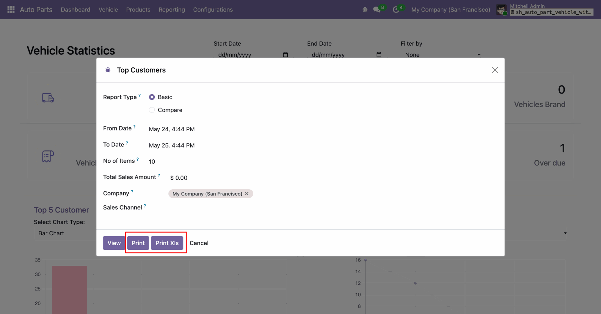 Top Customers report dialog with filters and print options.