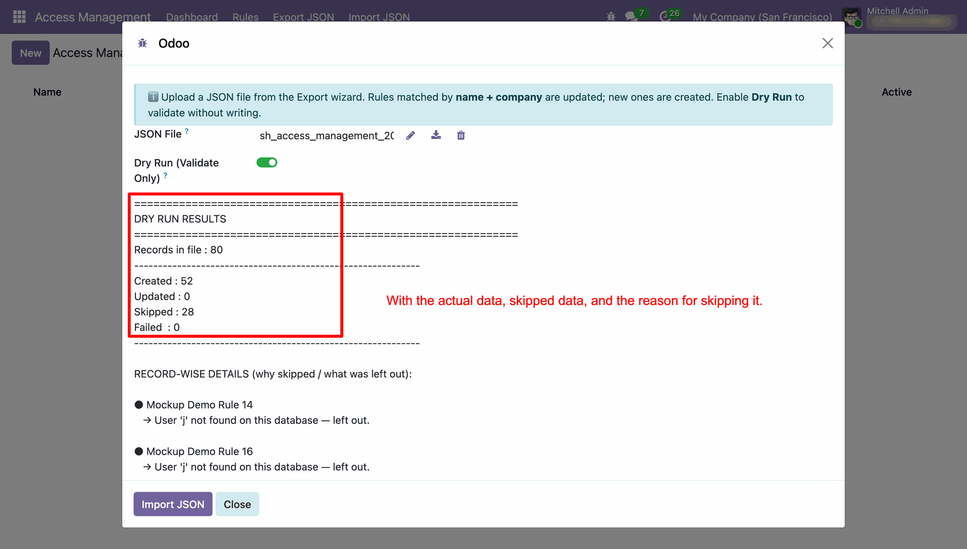 Review Import with Dry Run Option