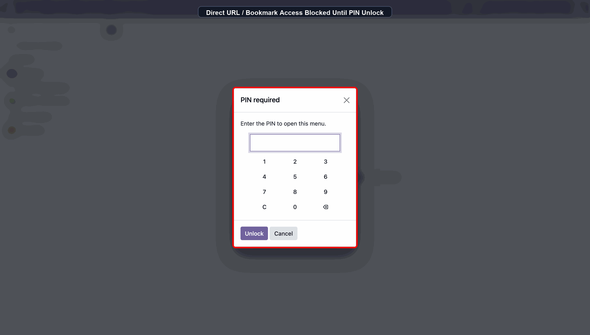 Direct URL / Bookmark Access Blocked Until PIN Unlock
