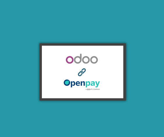 Openpay Payment Integration