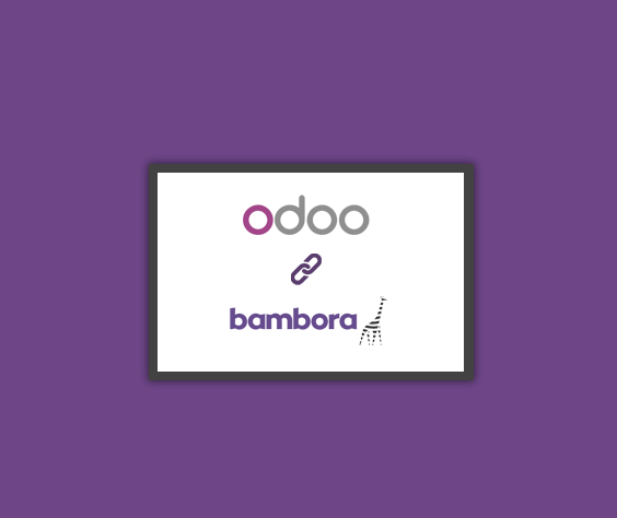 Bambora Payment Integration | Payment Dashboard | Odoo Bambora Payment Gateway Integration | Odoo Website Bambora Payment Acquirer | Bambora Payment Provider | Odoo Bambora Connector