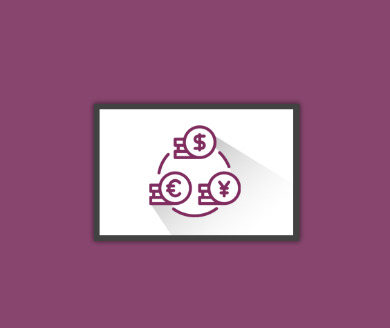 Account payment custom currency rate