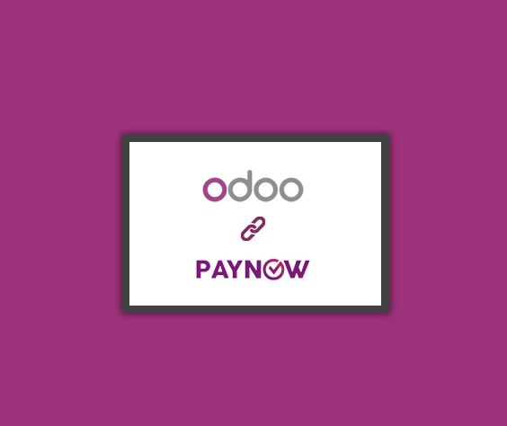 Paynow Payment Integration