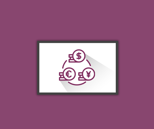 Account payment custom currency rate