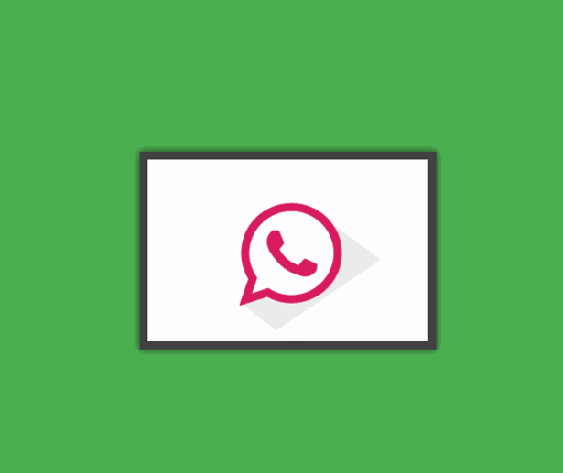 WhatsApp Live Chat